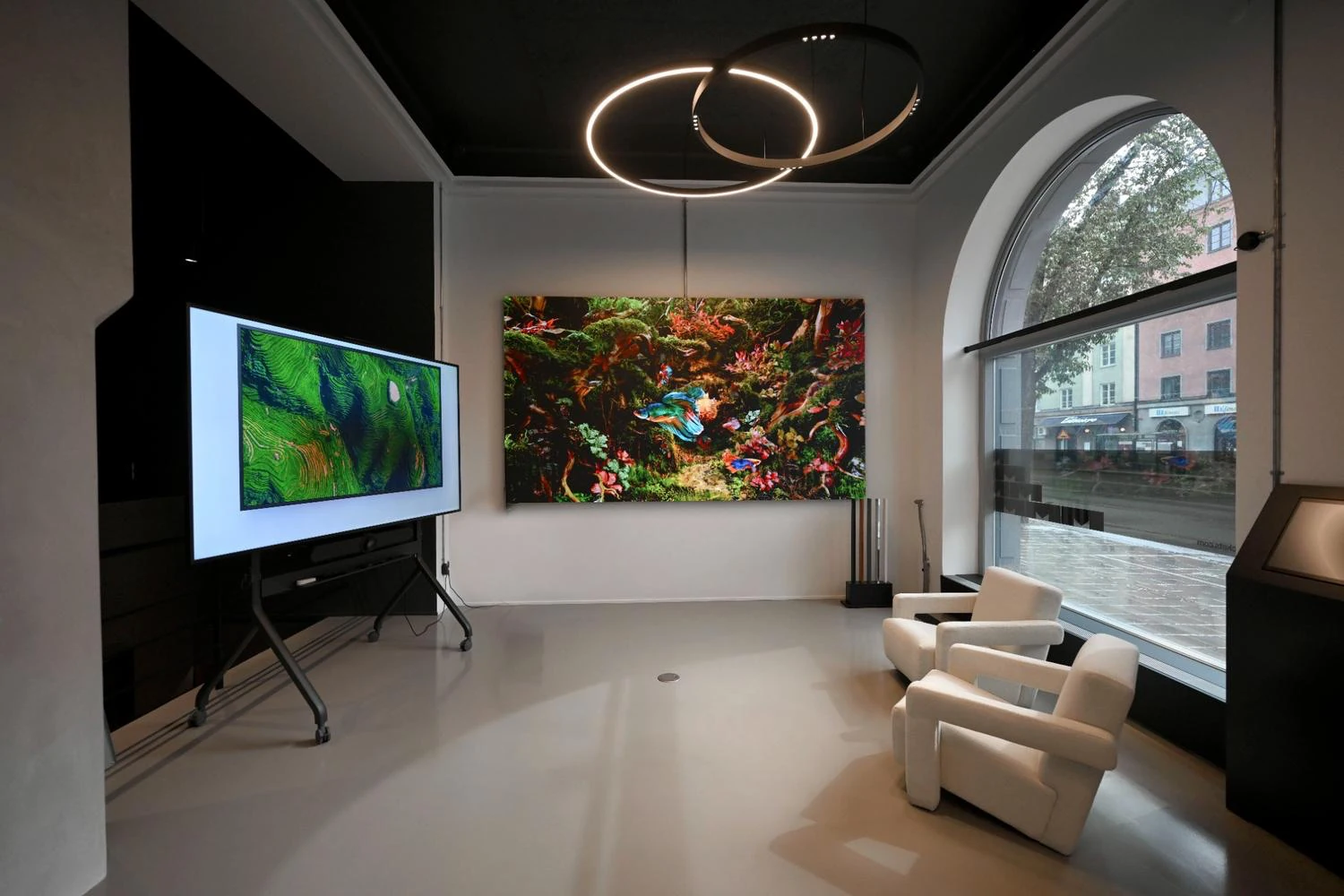 Display mounting in a modern interior